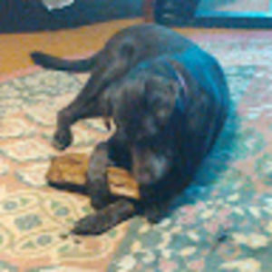 Meet your Posher, Jill